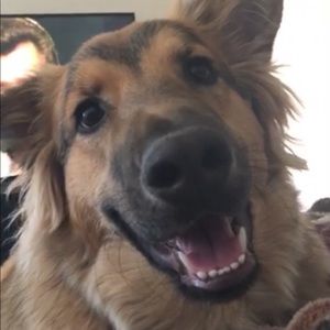 Meet your Posher, Zavier